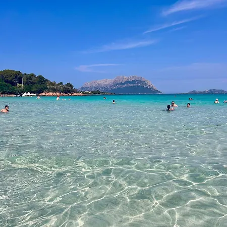 Olbiamare 44 Olbia